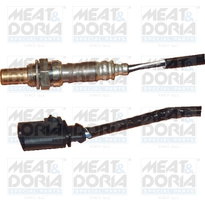 Oxygen Sensor